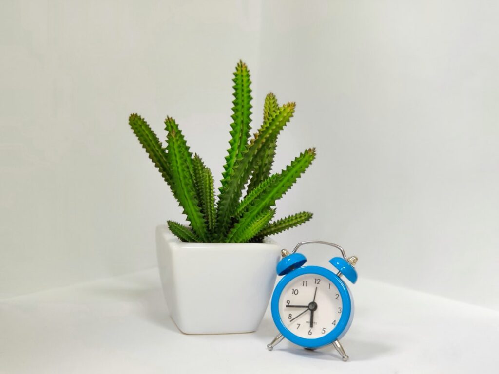 Elevate Your Interiors with Exquisite Metal Timepieces from