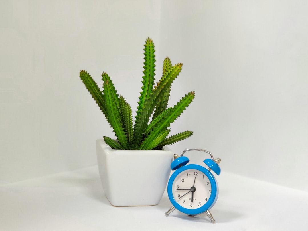 Elevate Your Interiors with Exquisite Metal Timepieces from